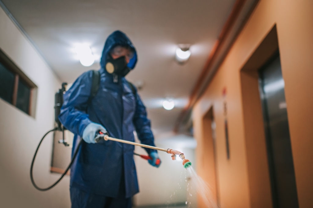 cockroach removal experts