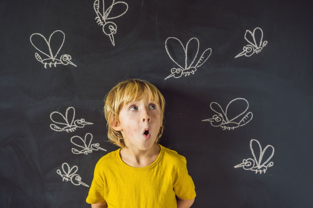 mosquito control experts