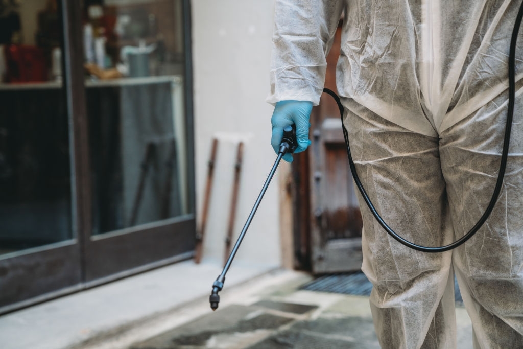 residential pest control
